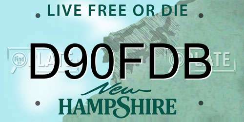 D90FDB New Hampshire License Plate