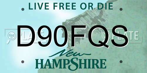 D90FQS New Hampshire License Plate