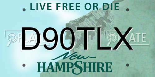 D90TLX New Hampshire License Plate
