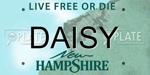 DAISY New Hampshire License Plate