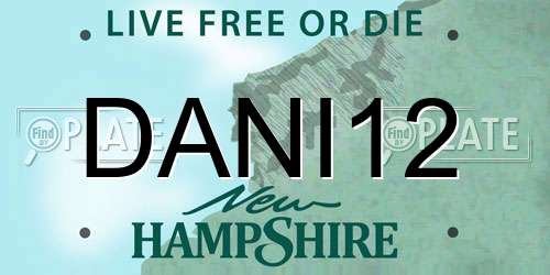DANI12 New Hampshire License Plate