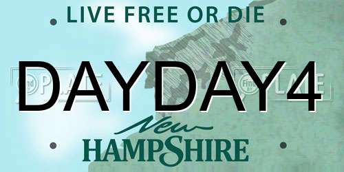 DAYDAY4 New Hampshire License Plate