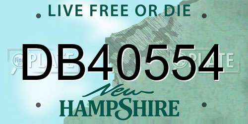 DB40554 New Hampshire License Plate