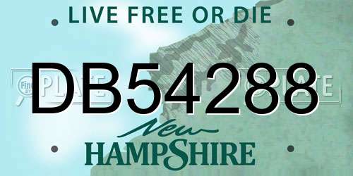 DB54288 New Hampshire License Plate