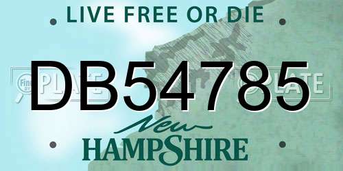DB54785 New Hampshire License Plate