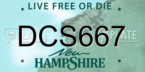DCS667 New Hampshire License Plate
