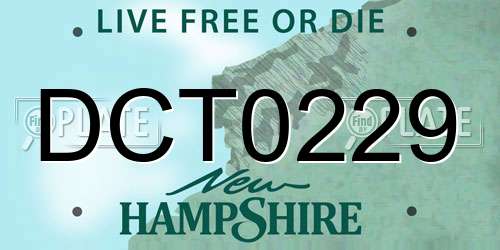 DCT0229 New Hampshire License Plate