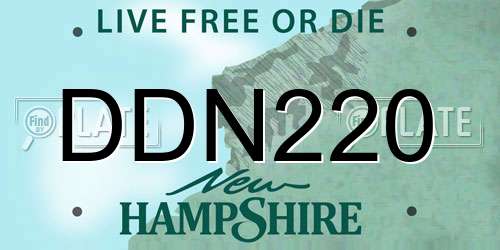DDN220 New Hampshire License Plate