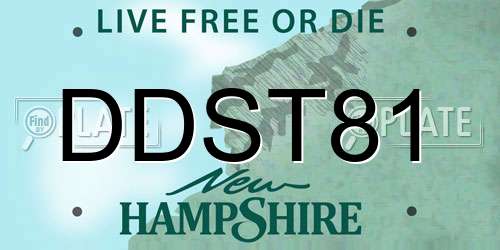 DDST81 New Hampshire License Plate
