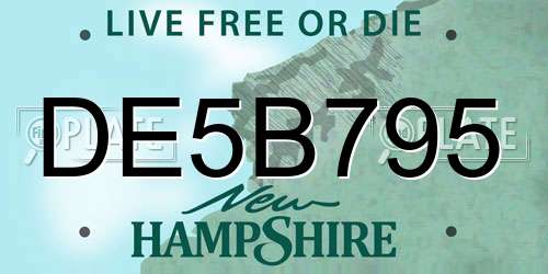 DE5B795 New Hampshire License Plate