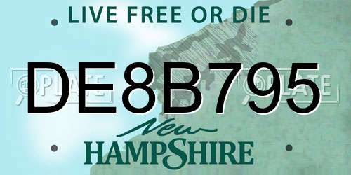 DE8B795 New Hampshire License Plate