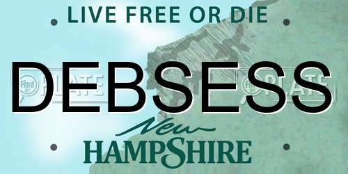 DEBSESS New Hampshire License Plate