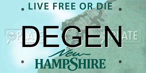 DEGEN New Hampshire License Plate