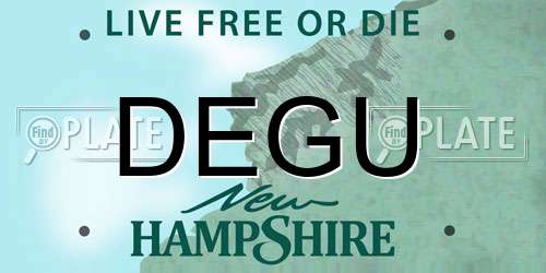 DEGU New Hampshire License Plate
