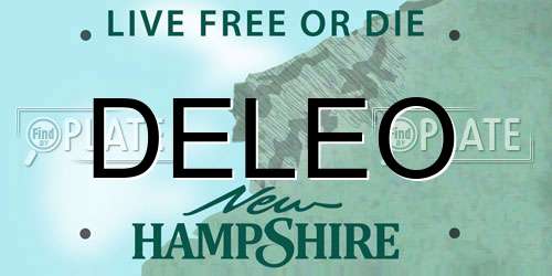 DELEO New Hampshire License Plate