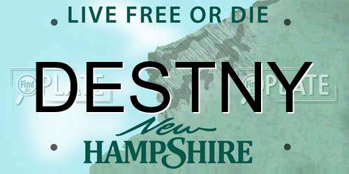DESTNY New Hampshire License Plate