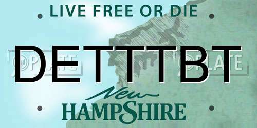 DETTTBT New Hampshire License Plate