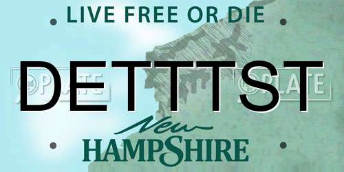 DETTTST New Hampshire License Plate