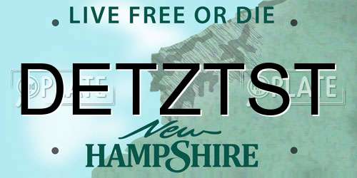 DETZTST New Hampshire License Plate