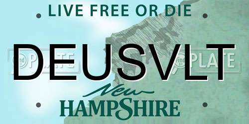 DEUSVLT New Hampshire License Plate