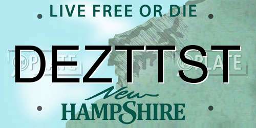 DEZTTST New Hampshire License Plate