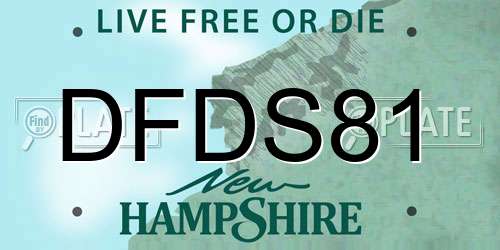 DFDS81 New Hampshire License Plate