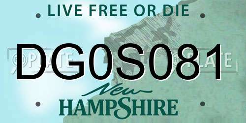 DG0S081 New Hampshire License Plate