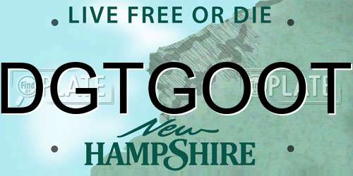 DGTGOOT New Hampshire License Plate