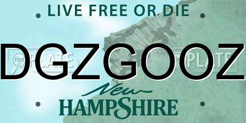 DGZGOOZ New Hampshire License Plate