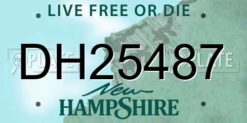 DH25487 New Hampshire License Plate