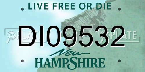 DI09532 New Hampshire License Plate