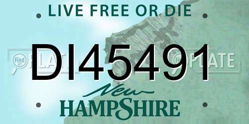 DI45491 New Hampshire License Plate