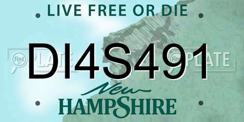 DI4S491 New Hampshire License Plate