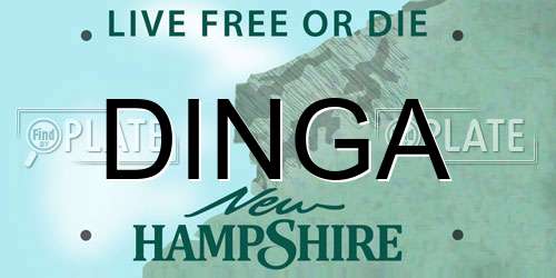 DINGA New Hampshire License Plate