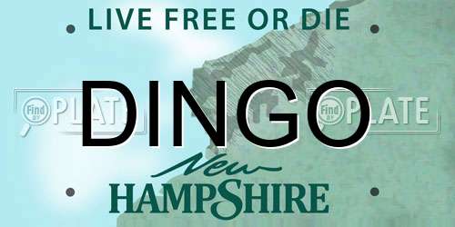 DINGO New Hampshire License Plate