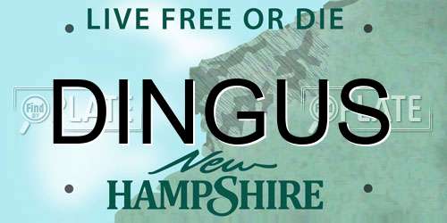 DINGUS New Hampshire License Plate