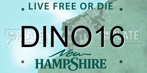 DINO16 New Hampshire License Plate