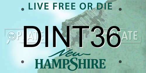 DINT36 New Hampshire License Plate
