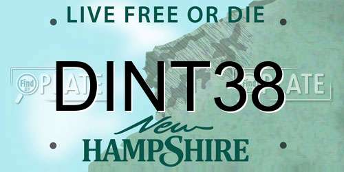 DINT38 New Hampshire License Plate
