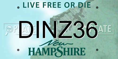 DINZ36 New Hampshire License Plate