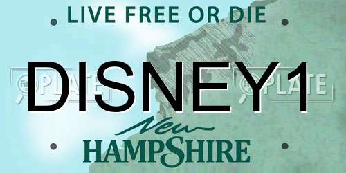 DISNEY1 New Hampshire License Plate