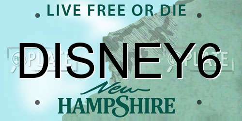DISNEY6 New Hampshire License Plate