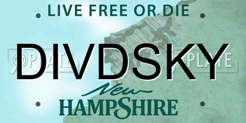 DIVDSKY New Hampshire License Plate