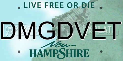 DMGDVET New Hampshire License Plate