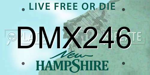 DMX246 New Hampshire License Plate