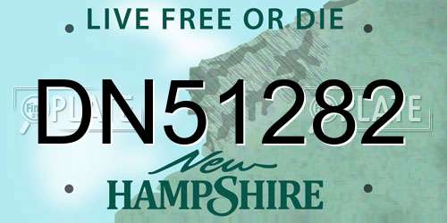 DN51282 New Hampshire License Plate