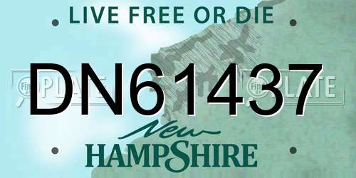 DN61437 New Hampshire License Plate