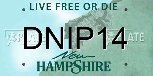 DNIP14 New Hampshire License Plate