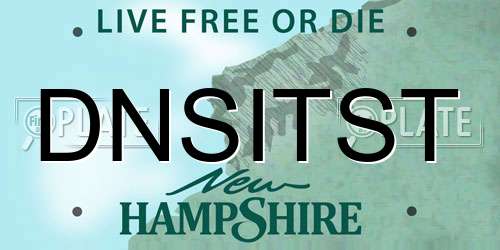 DNSITST New Hampshire License Plate