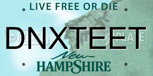 DNXTEET New Hampshire License Plate